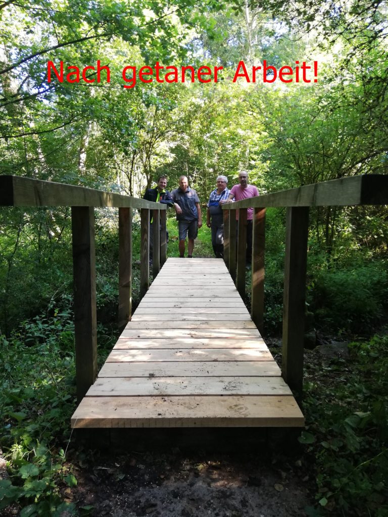 Bild: neue Brücke